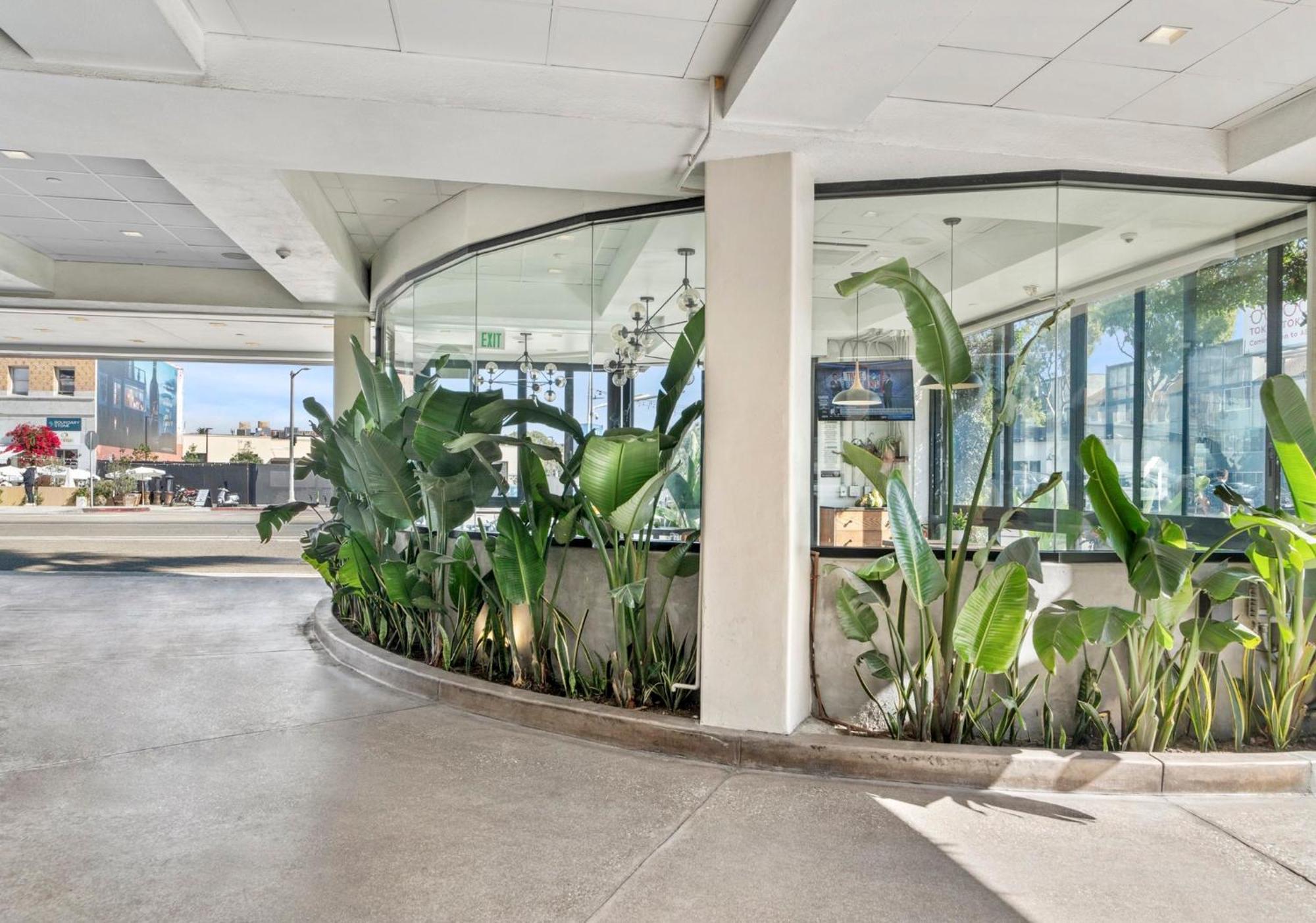 לוס אנג'לס Hotel Erwin Venice Beach מראה חיצוני תמונה